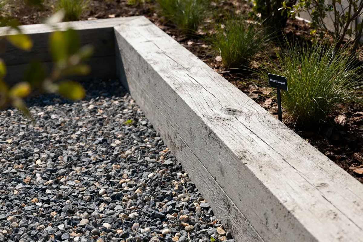 Chemin de gravier bordé de planches en bois, plantes vertes et étiquette noire indiquant "Ailmes Moujet".